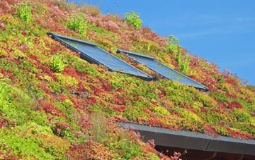 Sacombe Green living roof systems